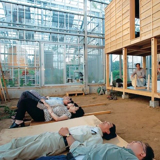 Chili Greenhouse